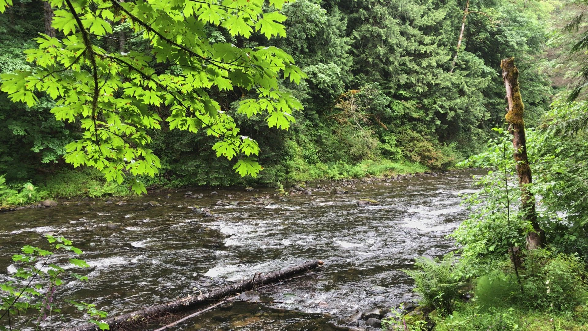 Forest River V-Tour