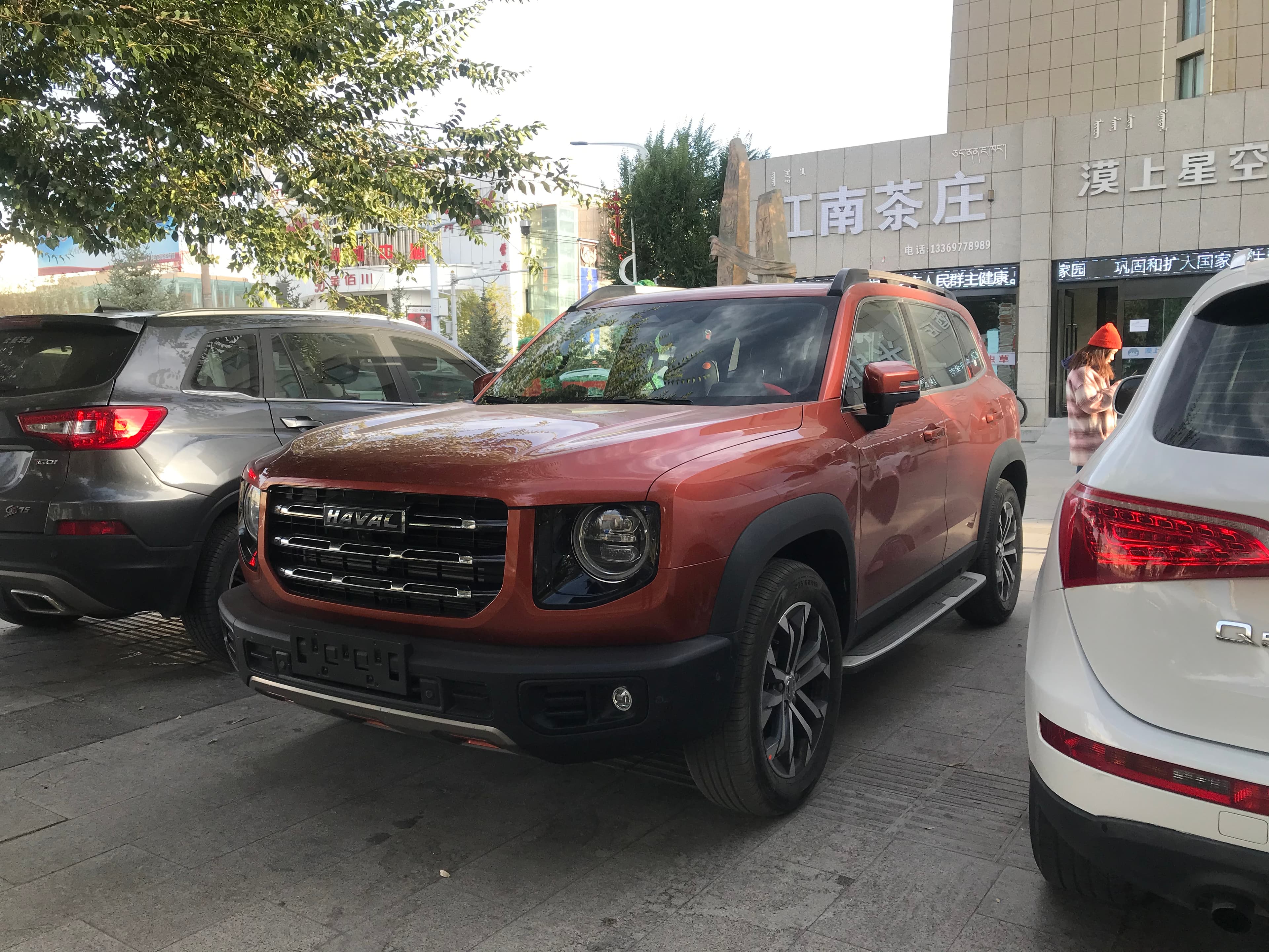Haval Dagou (Big Dog)
