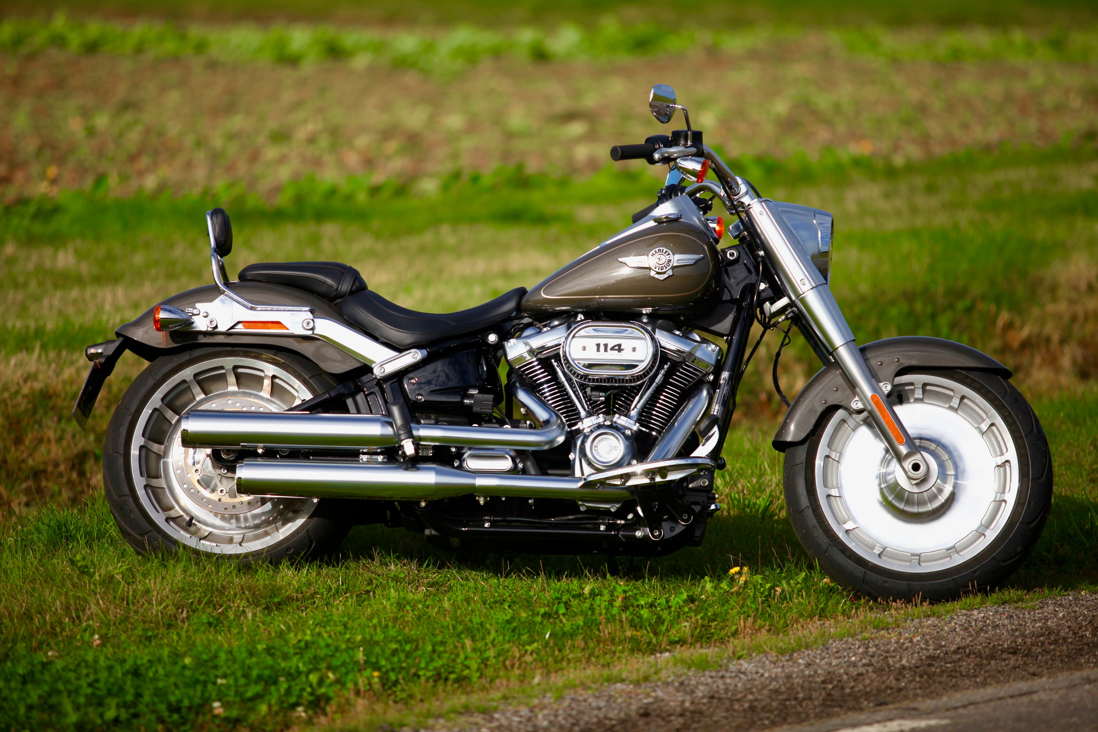 Harley-Davidson Flfb