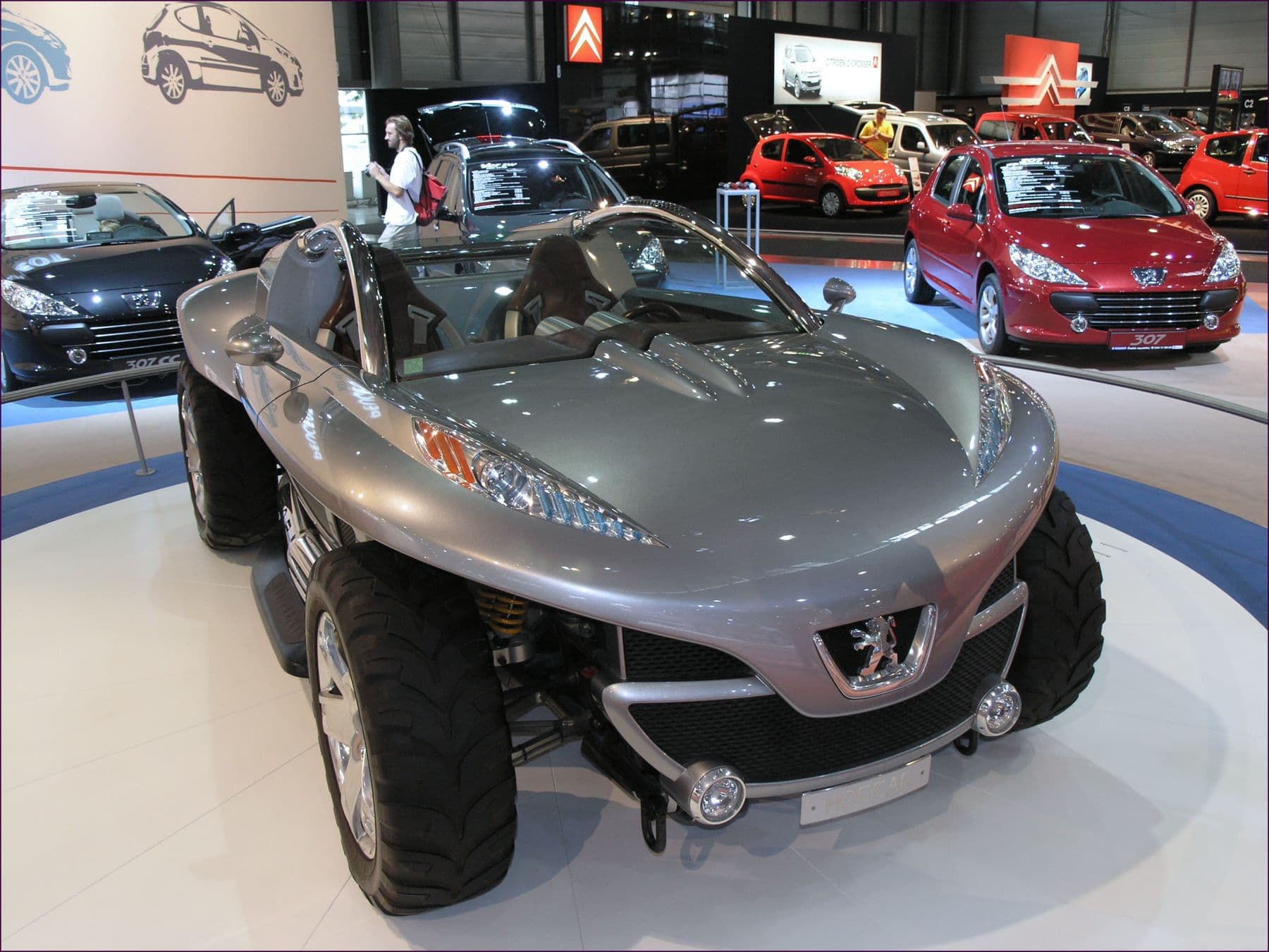 Peugeot Hoggar