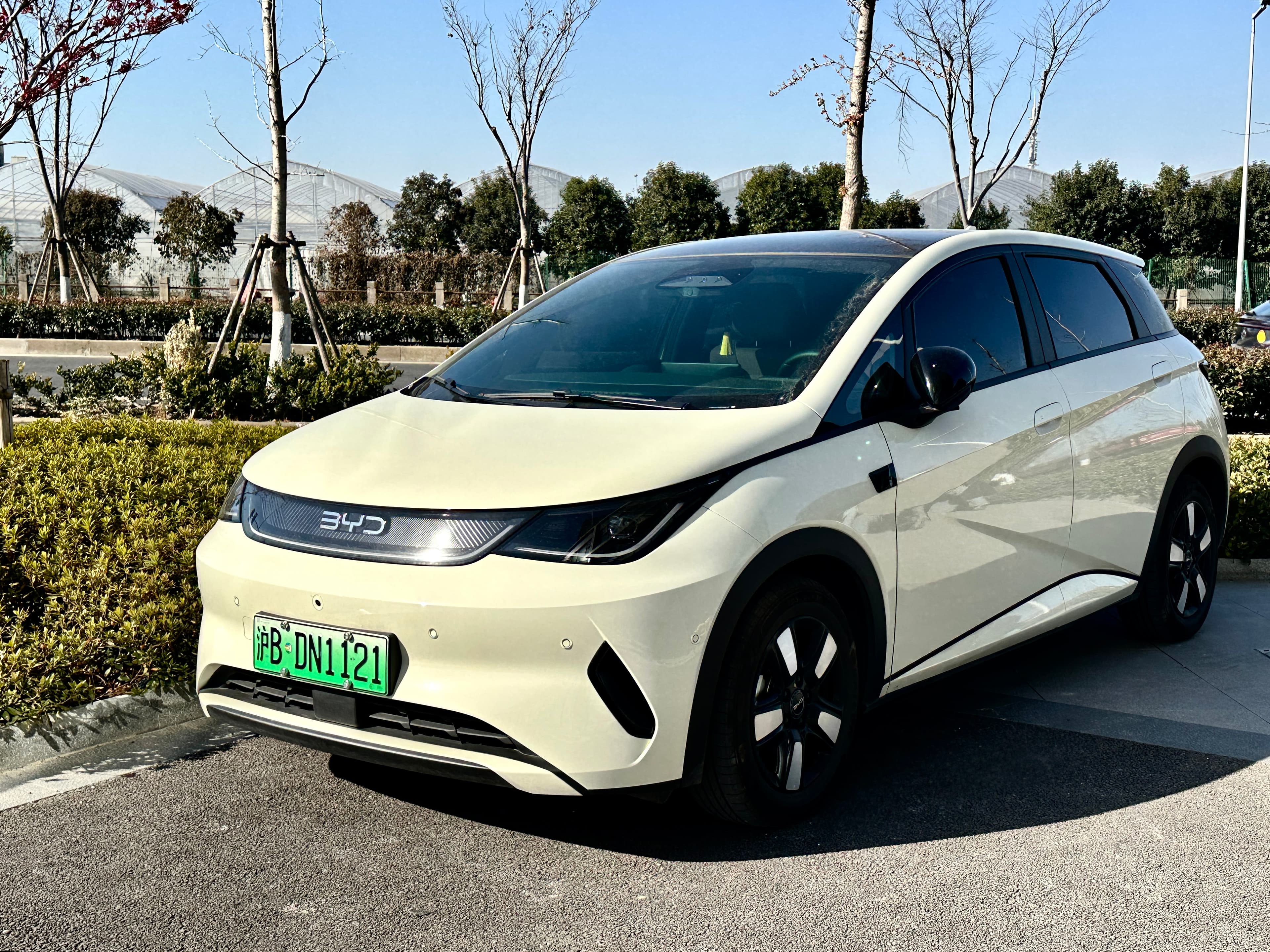 Byd Dolphin