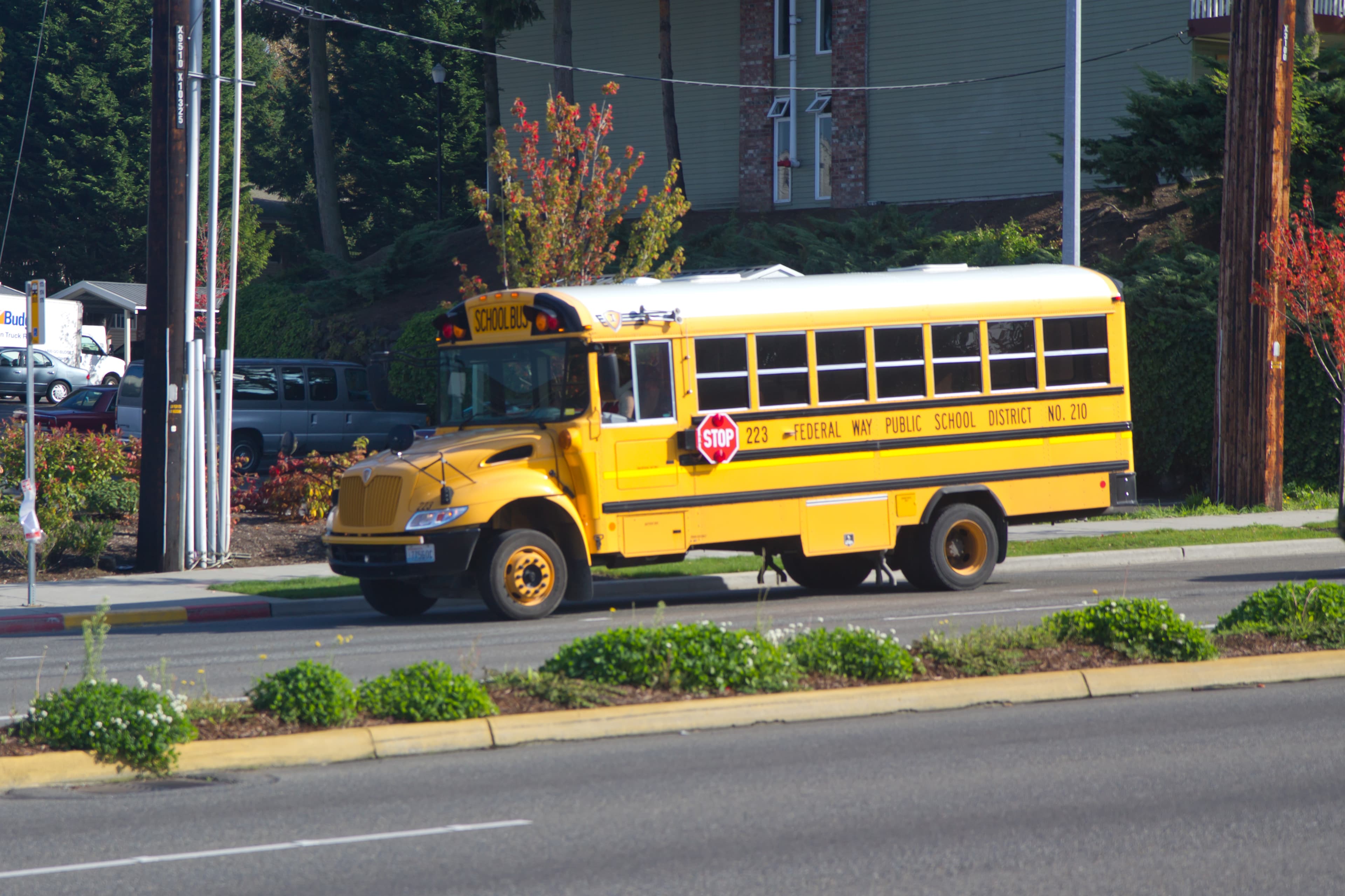 Ic 3300