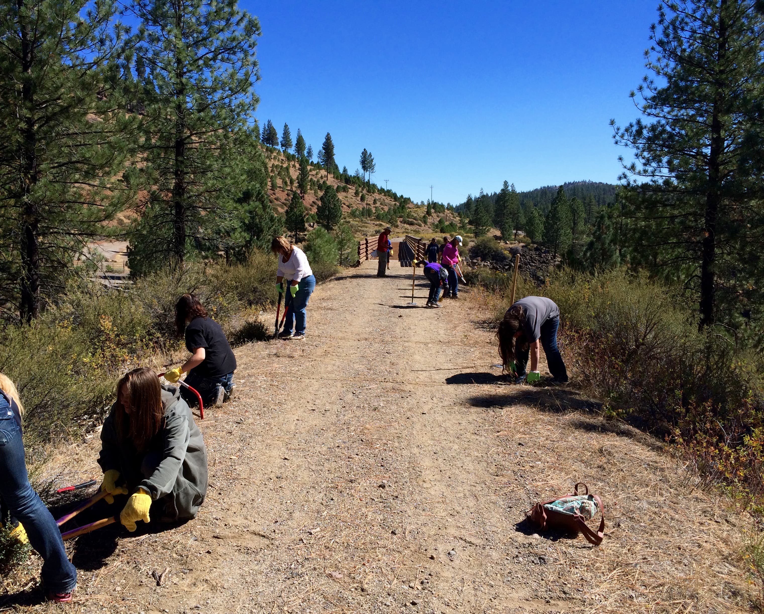 Forest River Sierra