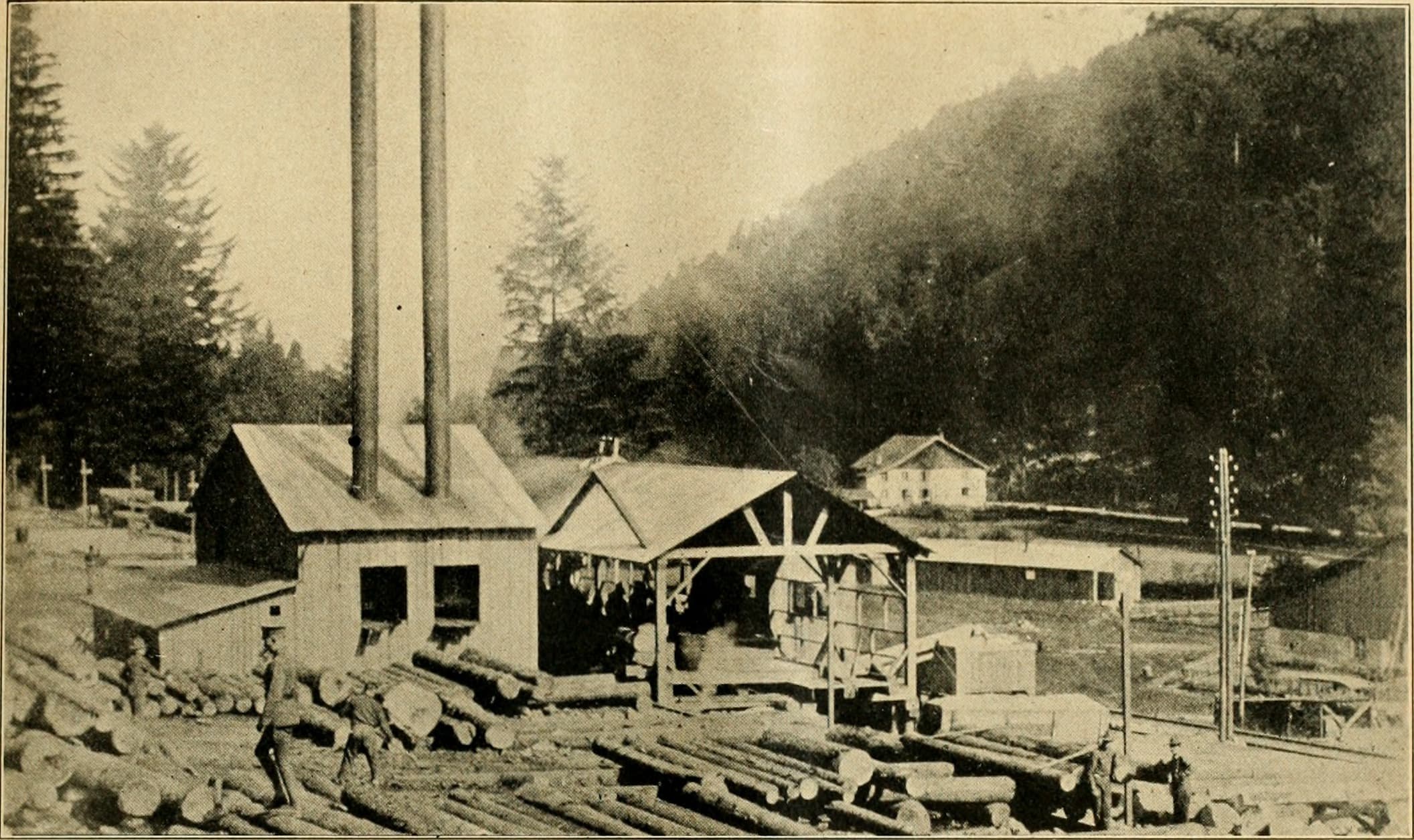 Forest River Freedom Express